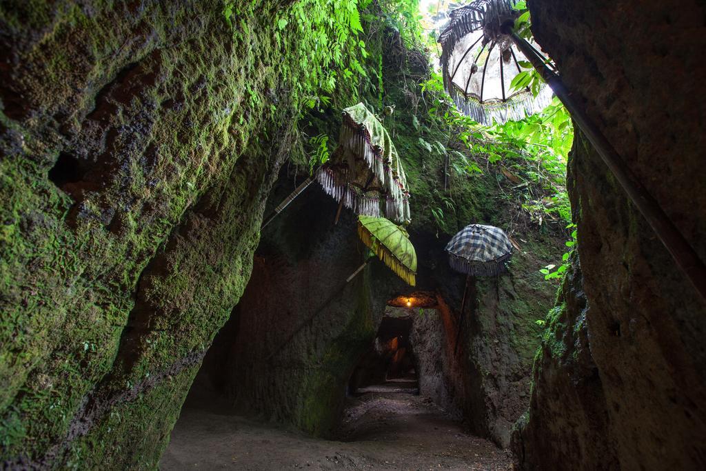Bali Eco Adventure And Retreat Center Hotel Tegallalang  Luaran gambar