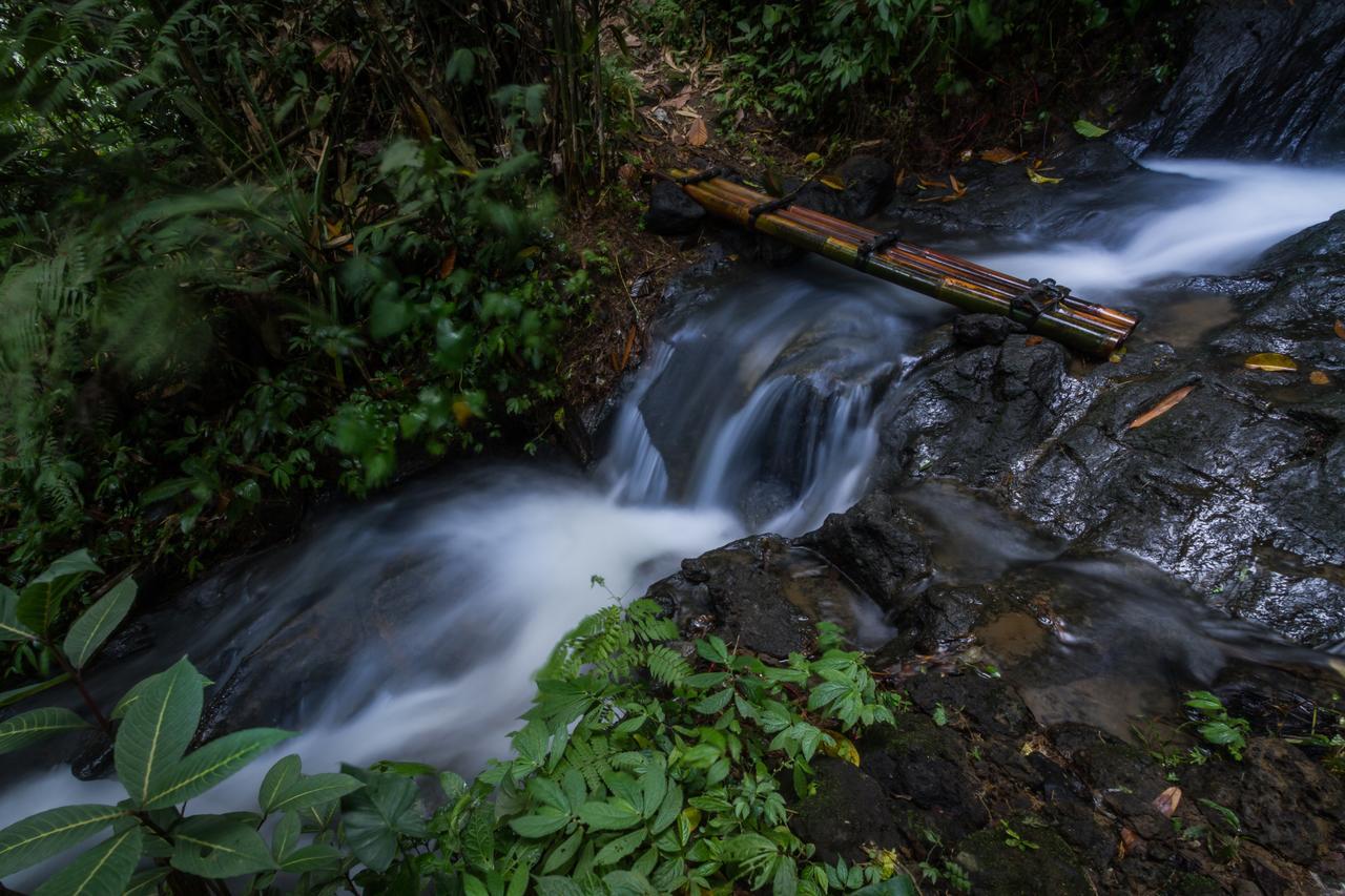 Bali Eco Adventure And Retreat Center Hotel Tegallalang  Luaran gambar