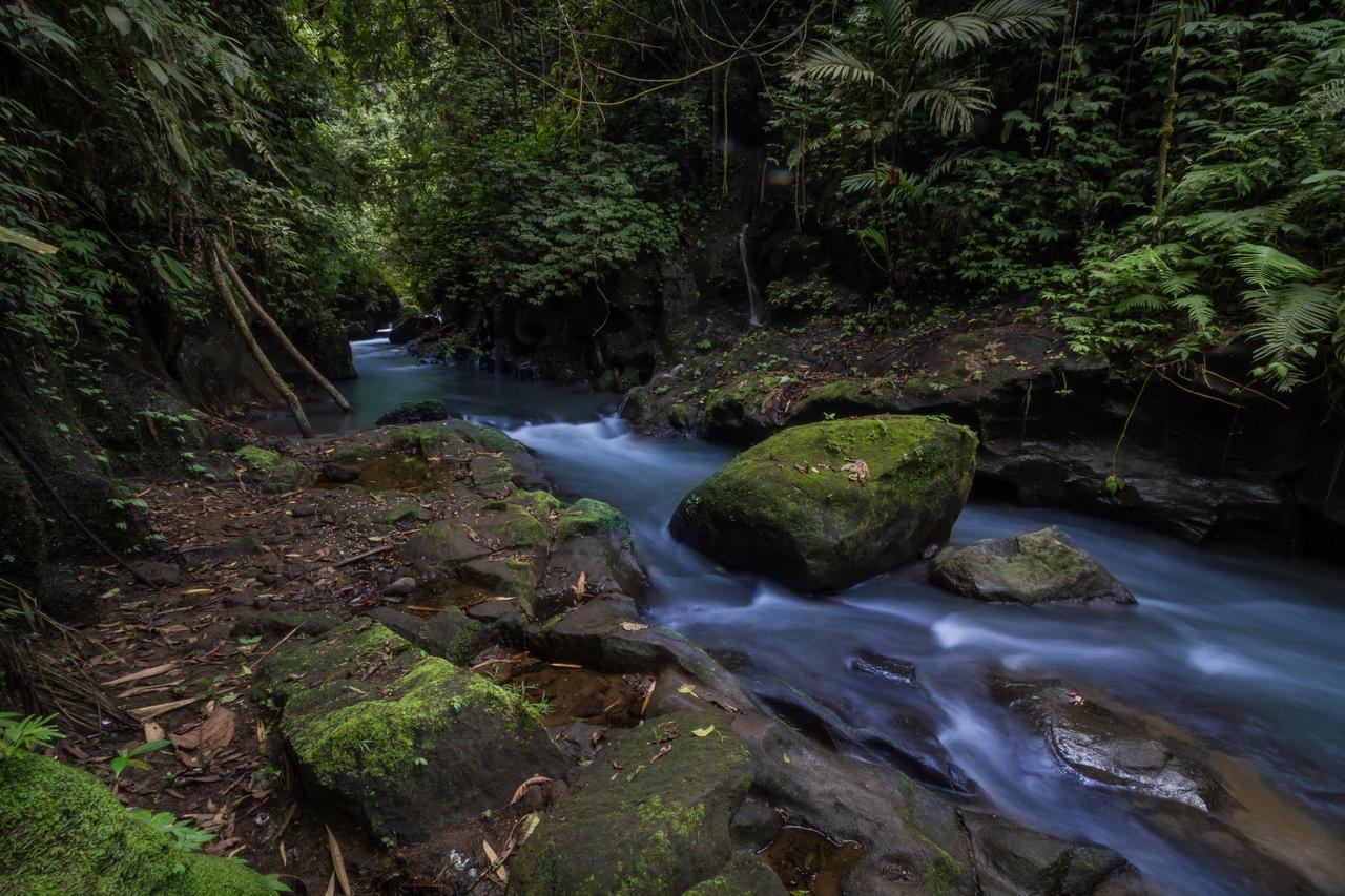Bali Eco Adventure And Retreat Center Hotel Tegallalang  Luaran gambar