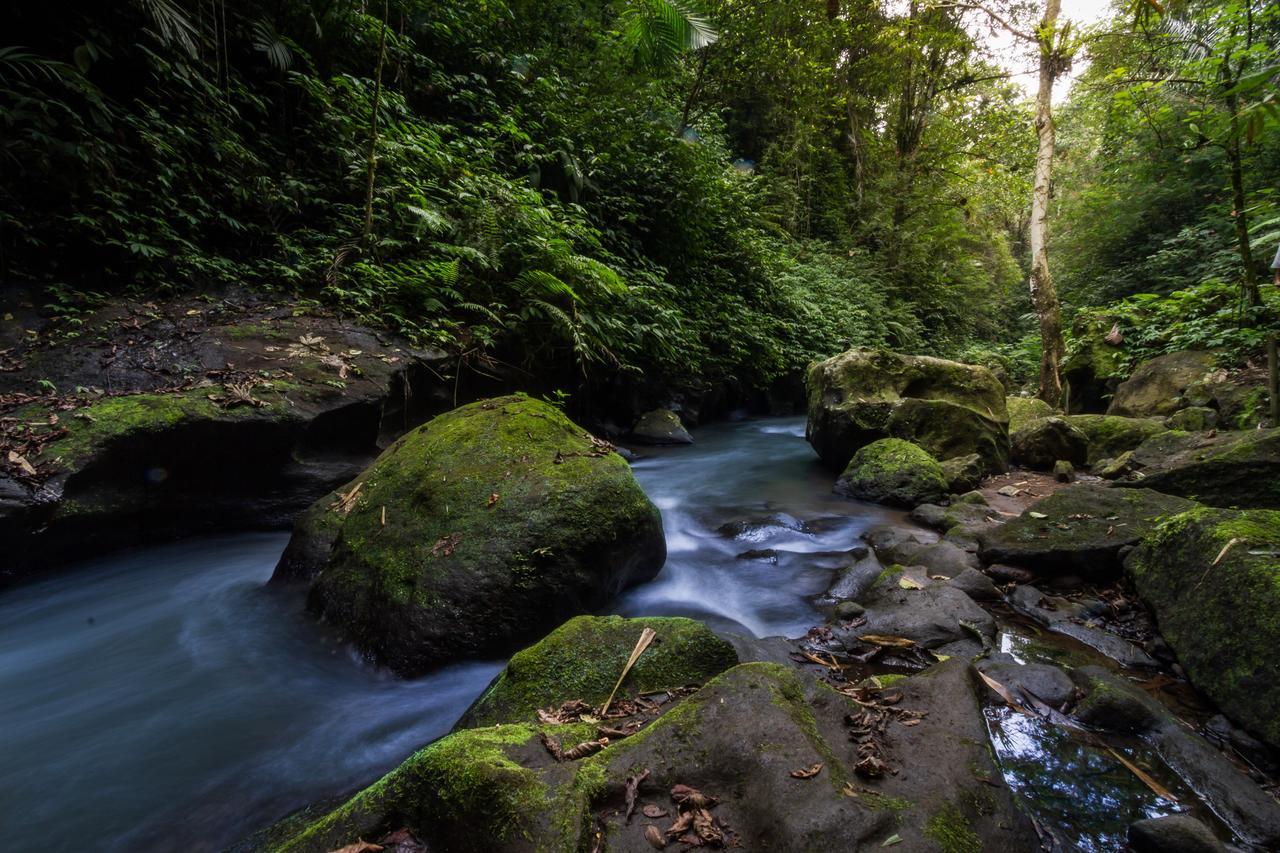 Bali Eco Adventure And Retreat Center Hotel Tegallalang  Luaran gambar