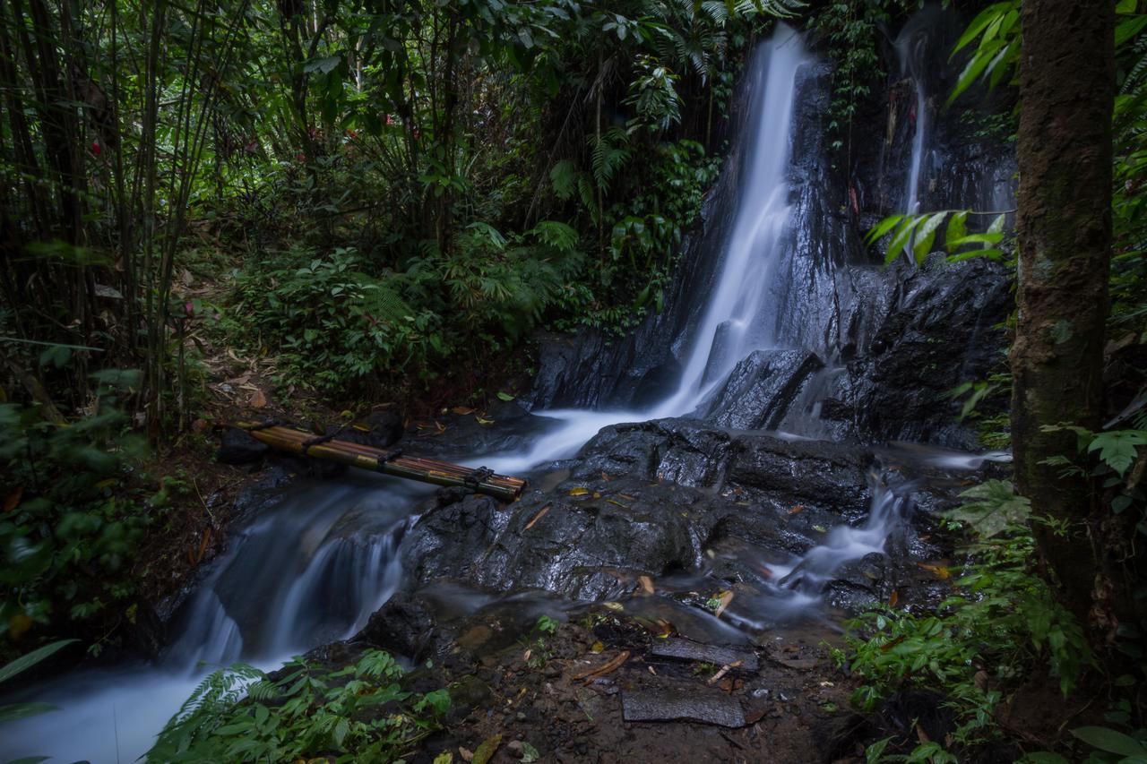 Bali Eco Adventure And Retreat Center Hotel Tegallalang  Luaran gambar